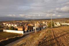 Imagen de SARRACÍN